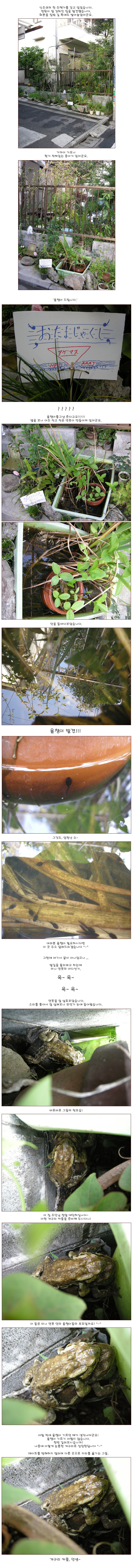 [�Ϻ���] ��ì�� �о� �� - �ʹ̴Ͽ��� (�ǻ� �缭�� ���� ������ ������ ���Ͻ� ���� Ŭ�� ����!)